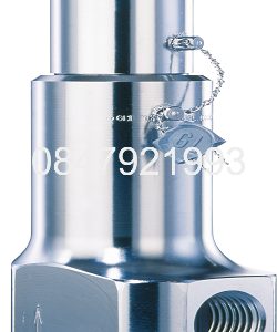 VAN AN TOÀN INOX  TYPE  481 SERIES LESER ĐỨC