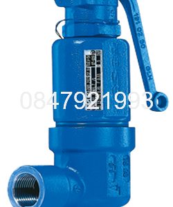 VAN AN TOÀN NỐI REN TYPE  460 SERIES LESER ĐỨC